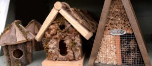 Bird houses