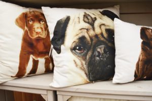 Pug cushion