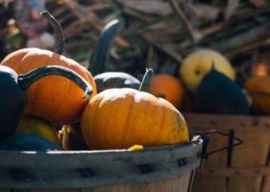 Pumpkins in a tub