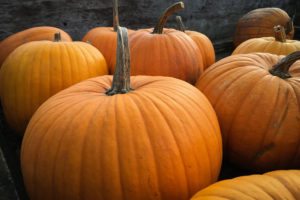 Collection of pumpkins