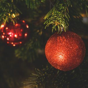Real British Christmas trees